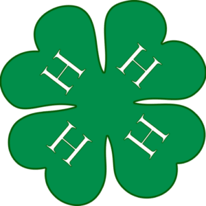 4H Clover for Head, Heart, Hand, Health